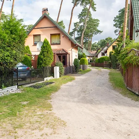 Zubr I, Sun & Snow *